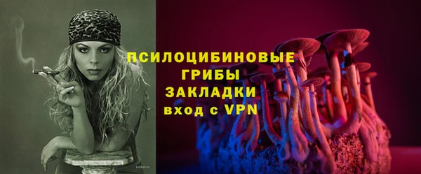 прущие грибы Арсеньев