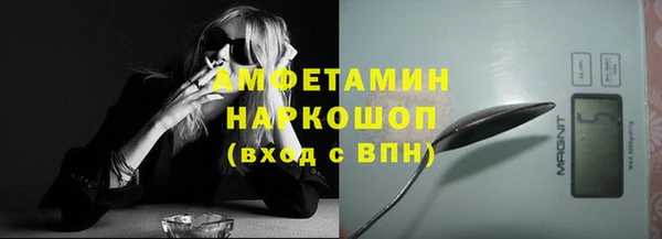 сатива Армянск